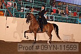 09yn-11559 proof