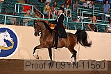 09yn-11560 proof