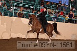 09yn-11561 proof