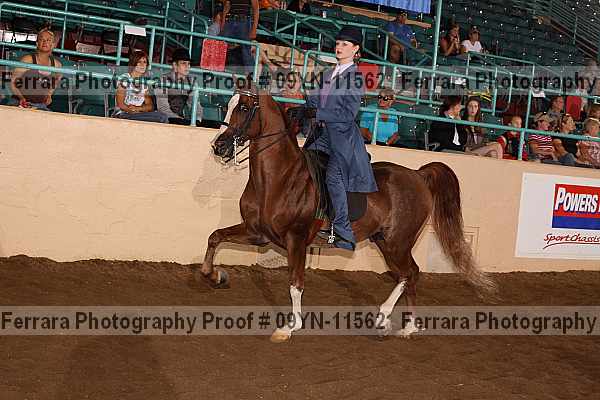 Proof 09yn-11562