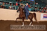 09yn-11562 proof