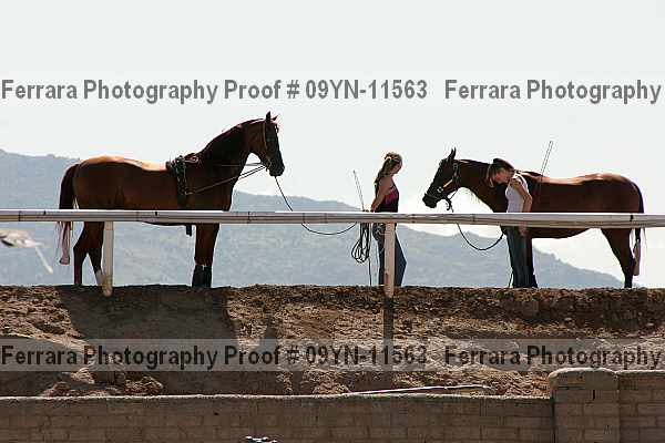 Proof 09yn-11563