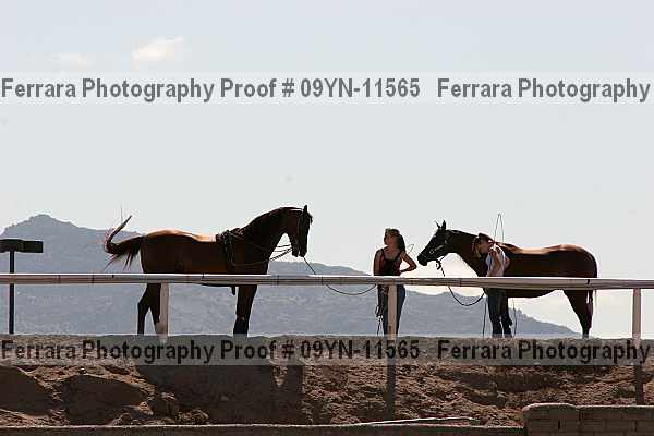 Proof 09yn-11565