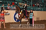09yn-11578 proof