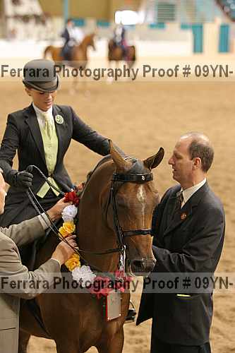 Proof 09yn-11579