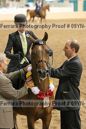 Proof 09yn-11580