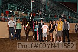 09yn-11582 proof