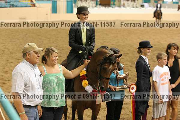Proof 09yn-11587