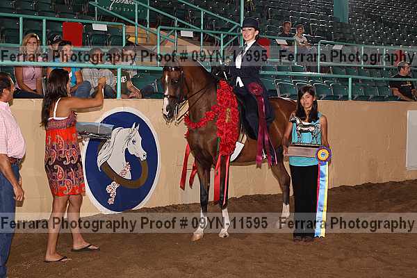 Proof 09yn-11595