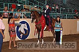 09yn-11595 proof