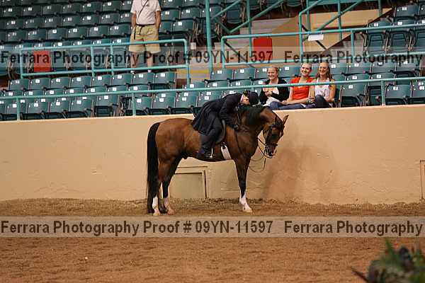 Proof 09yn-11597