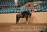 09yn-11597 proof
