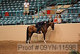 09yn-11598 proof