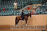 09yn-11599 proof