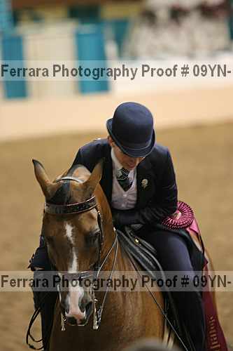 Proof 09yn-11604