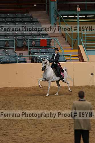 Proof 09yn-11616