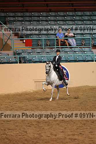 Proof 09yn-11617