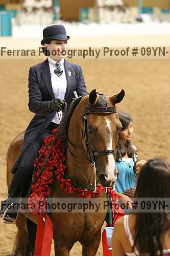 Proof 09yn-11624