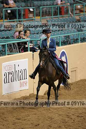 Proof 09yn-11631