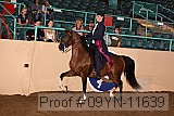 09yn-11639 proof