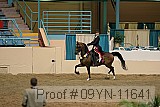 09yn-11641 proof