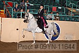 09yn-11644 proof
