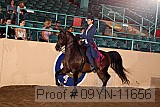 09yn-11656 proof