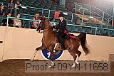 09yn-11658 proof