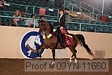 09yn-11660 proof