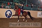 09yn-11661 proof