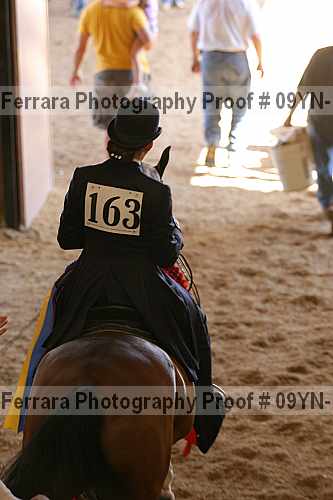 Proof 09yn-11666