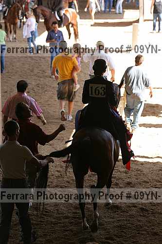Proof 09yn-11670