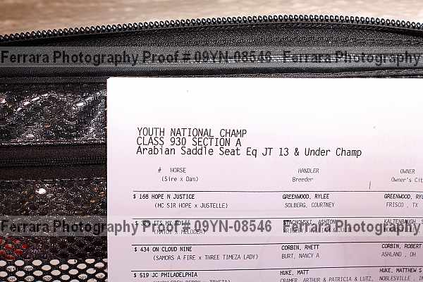 Proof 09yn-08546