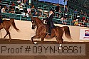 09yn-08561 proof