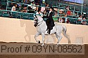 09yn-08562 proof