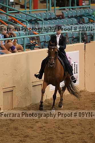 Proof 09yn-08583