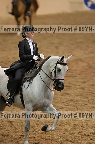 Proof 09yn-08599