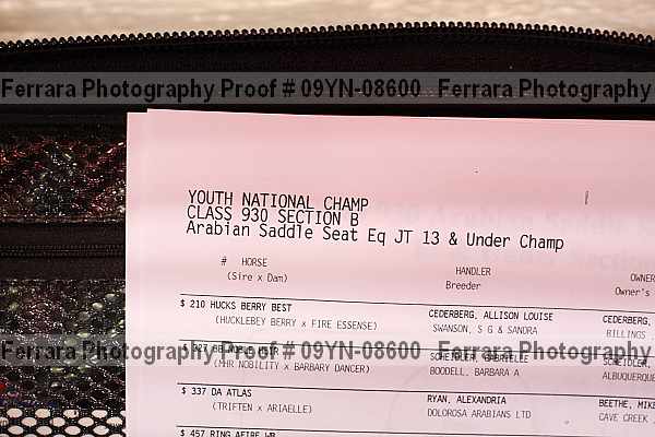Proof 09yn-08600