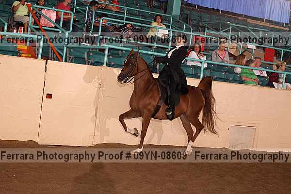 Proof 09yn-08609