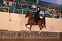 09yn-08609 proof