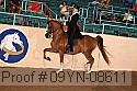 09yn-08611 proof