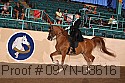 09yn-08616 proof