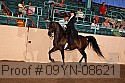 09yn-08621 proof