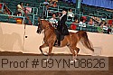 09yn-08626 proof