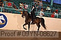 09yn-08627 proof