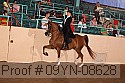 09yn-08628 proof