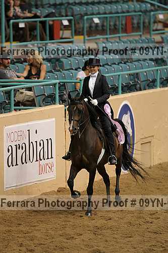 Proof 09yn-08637