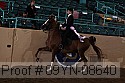 09yn-08640 proof