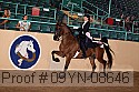 09yn-08646 proof