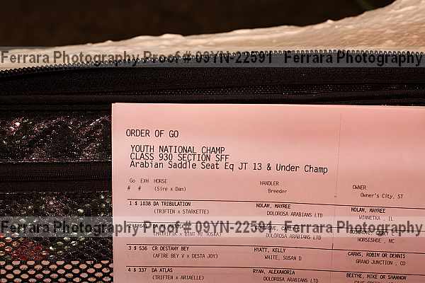 Proof 09yn-22591